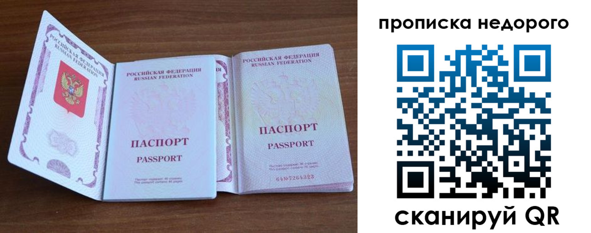 прописка поиск в Армавире